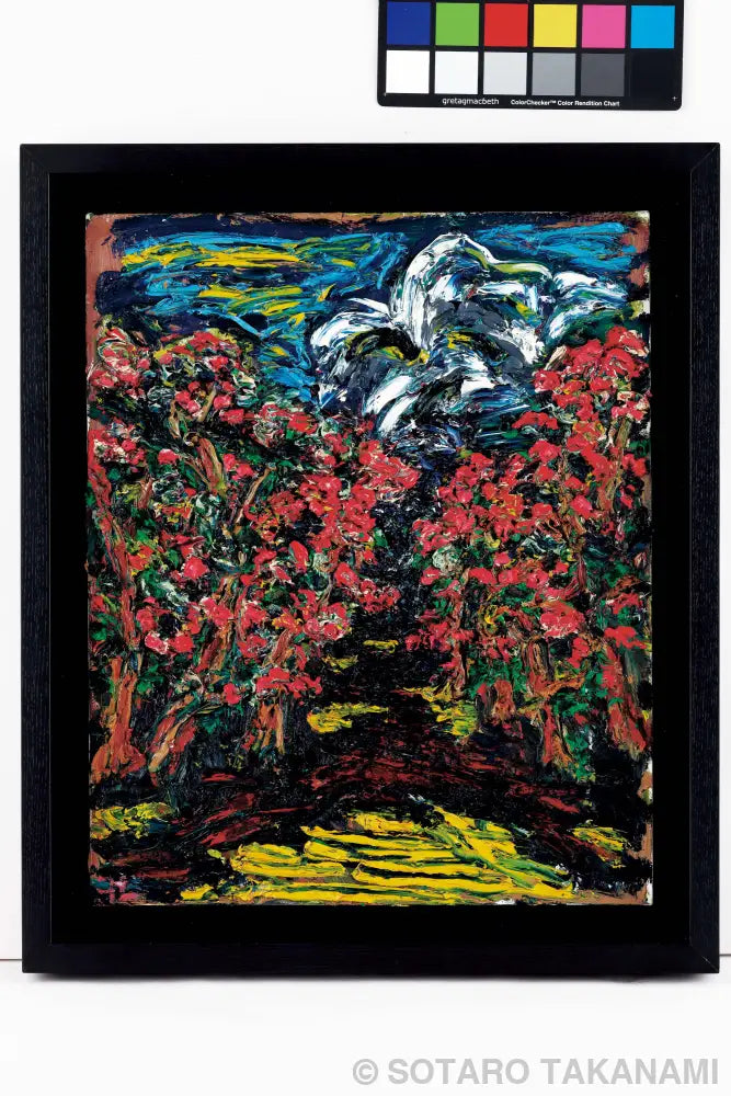 紅い花の咲く頃